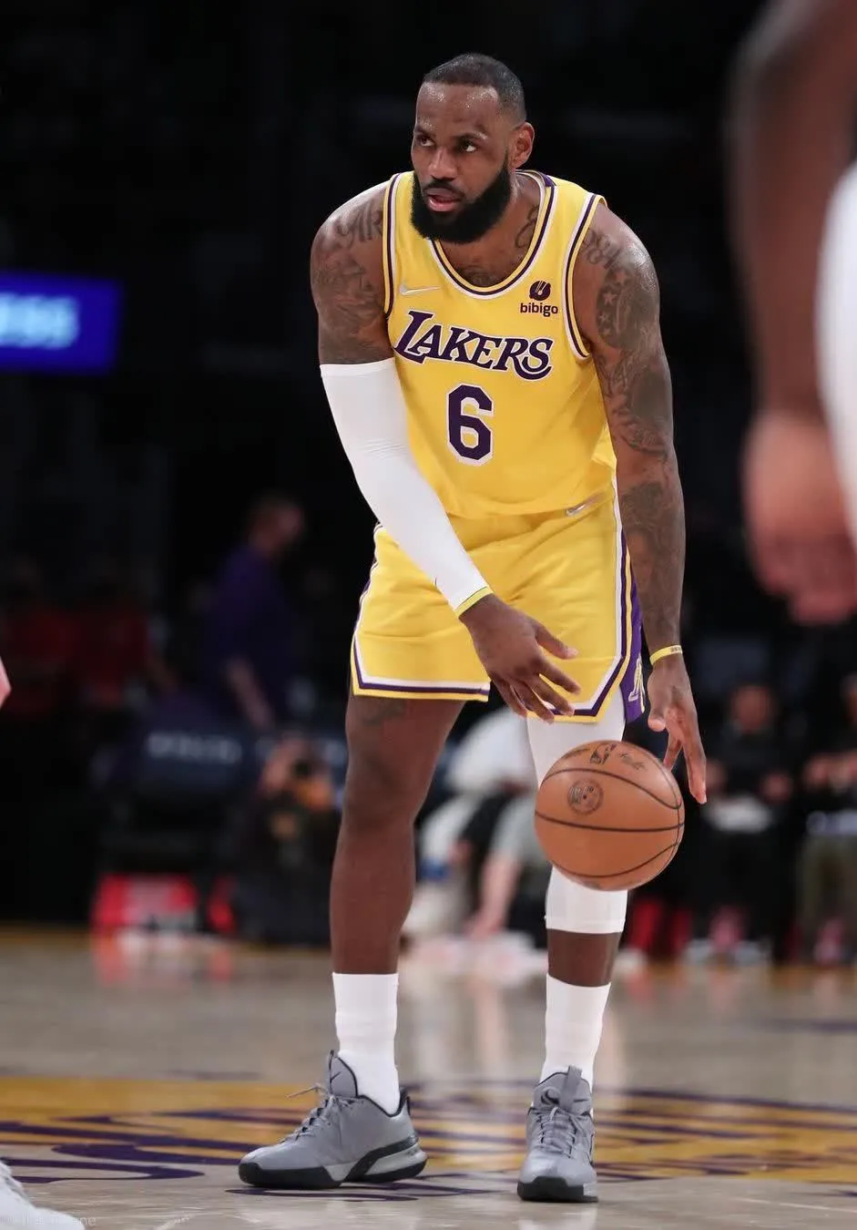 包含浙江队力克太阳,戈贝尔状态火热的词条 包含浙江队力克太阳,戈贝尔状态火热的词条